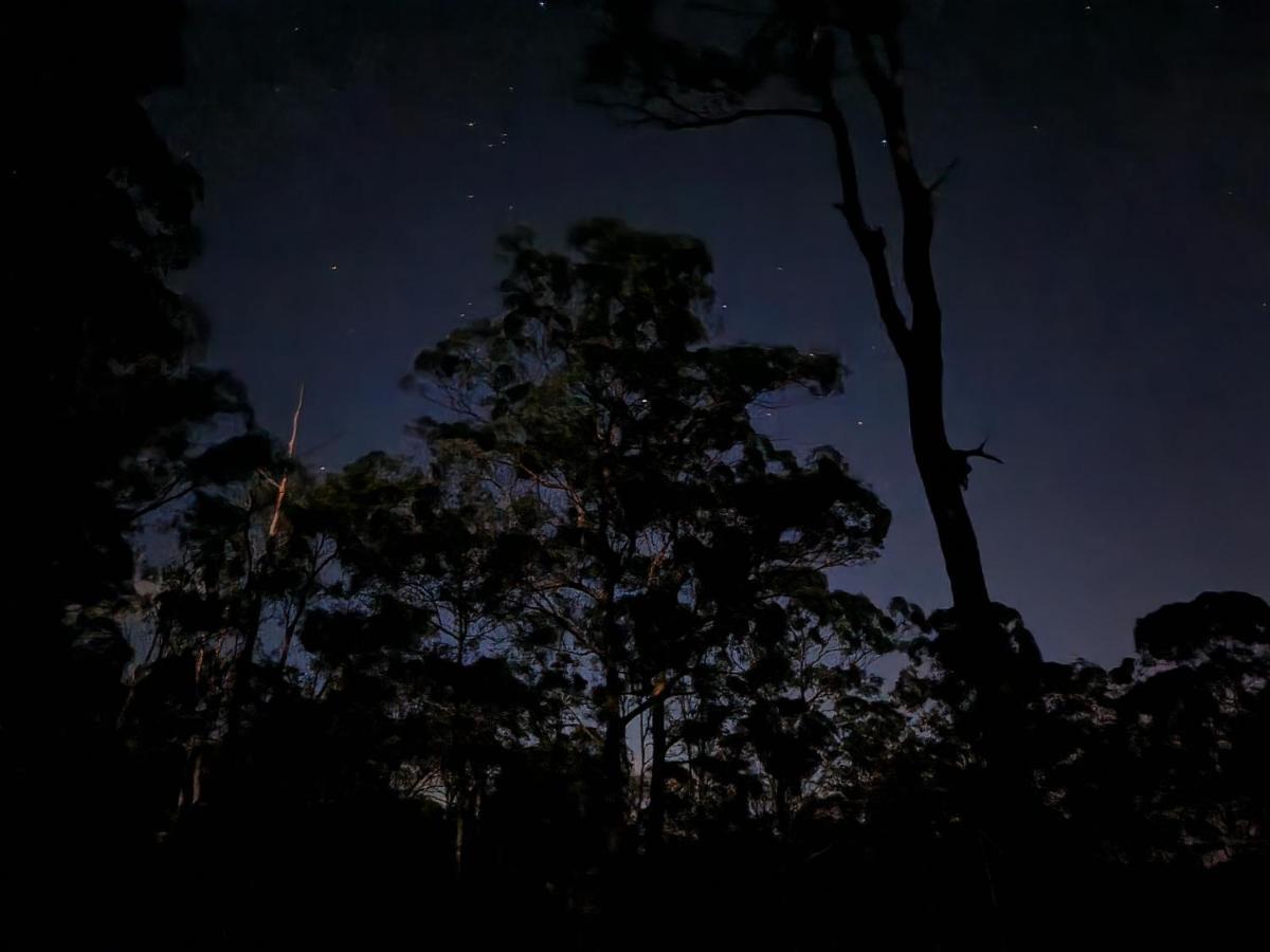 Oakey Creek Country Retreat Kenilworth Guest House Gheerulla Екстериор снимка